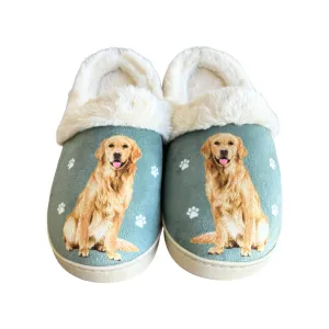 Golden Retriever Snuggs Slippers