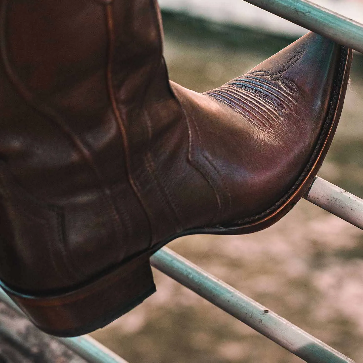 Rujo Boots Women's The Abby Saddle Calfskin Boots